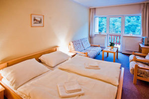 Read more about the article Hotel im Adlergebirge buchen