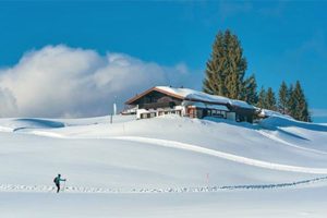 Read more about the article Ferienwohnung für Skiurlaub in Tschechien
