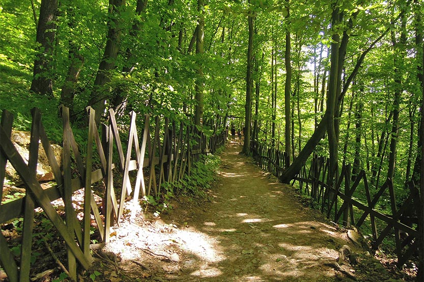 Wanderweg im Wald in der Region Hranicko