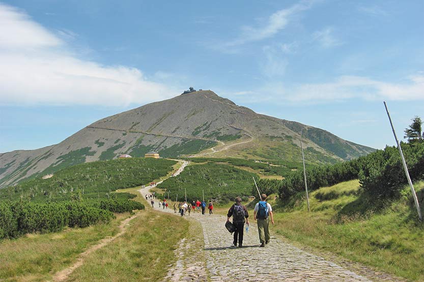 Schneekoppe