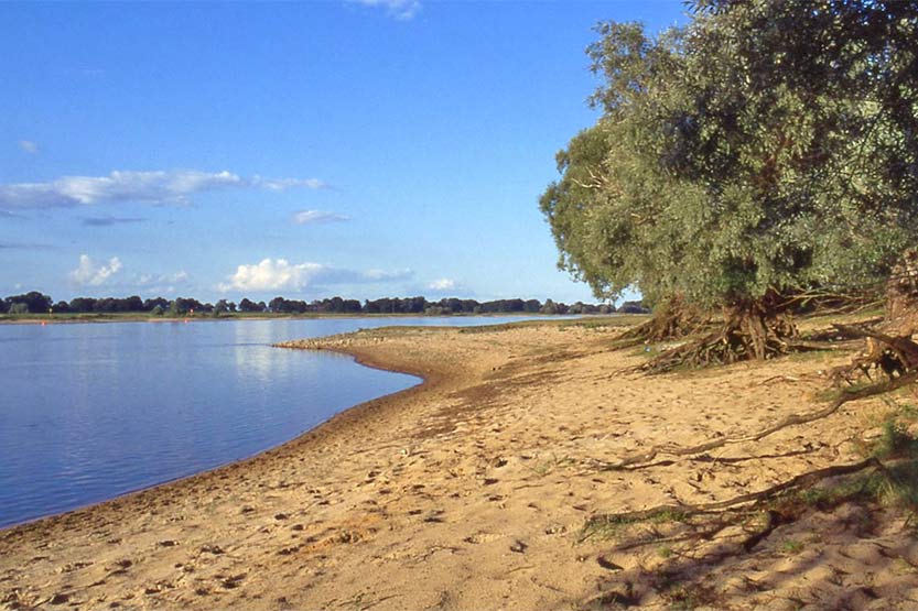 Elbe